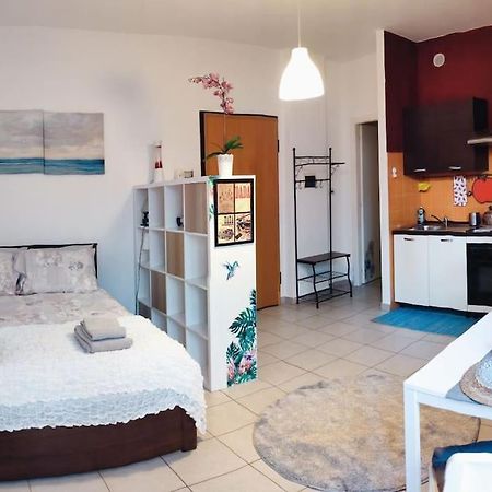 Casa Dora - Terrazzo In Centro Daire Torino Dış mekan fotoğraf